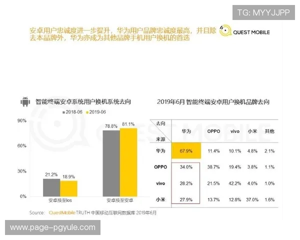 ag靠谱网站的用户评价与信誉度分析助你做出明智的选择