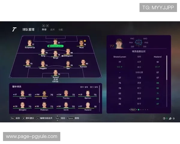 世界杯伊拉克对挪威比赛中的明星球员表现及中国球迷的关注热点分析